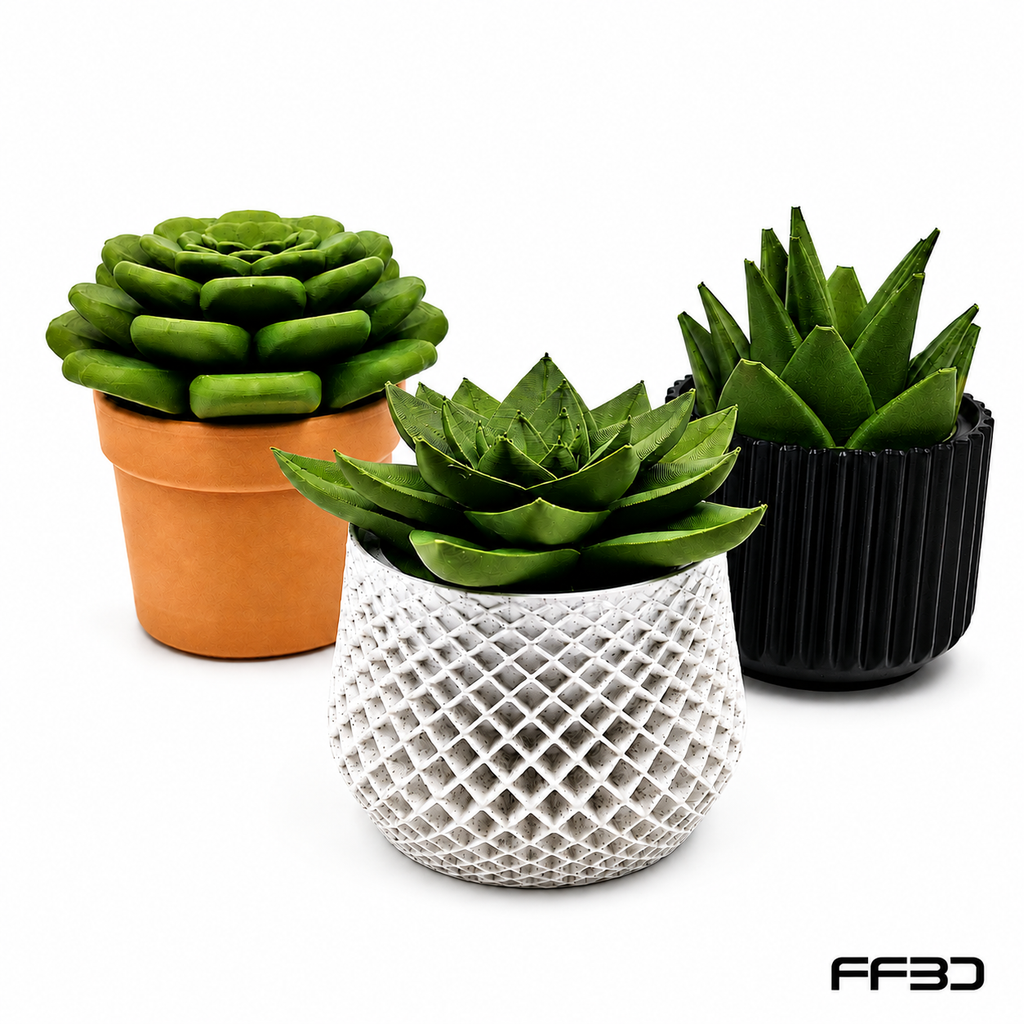 Succulent Fruit Fly Trap – Mix & Match Planter Design