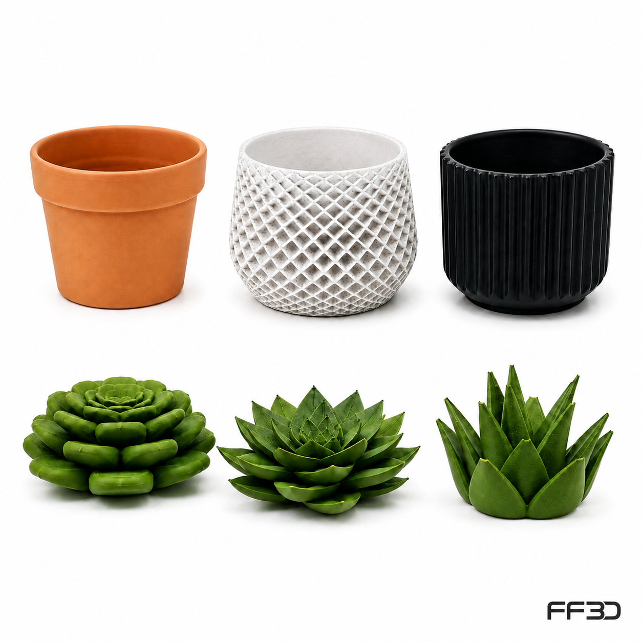 Succulent Fruit Fly Trap – Mix & Match Planter Design
