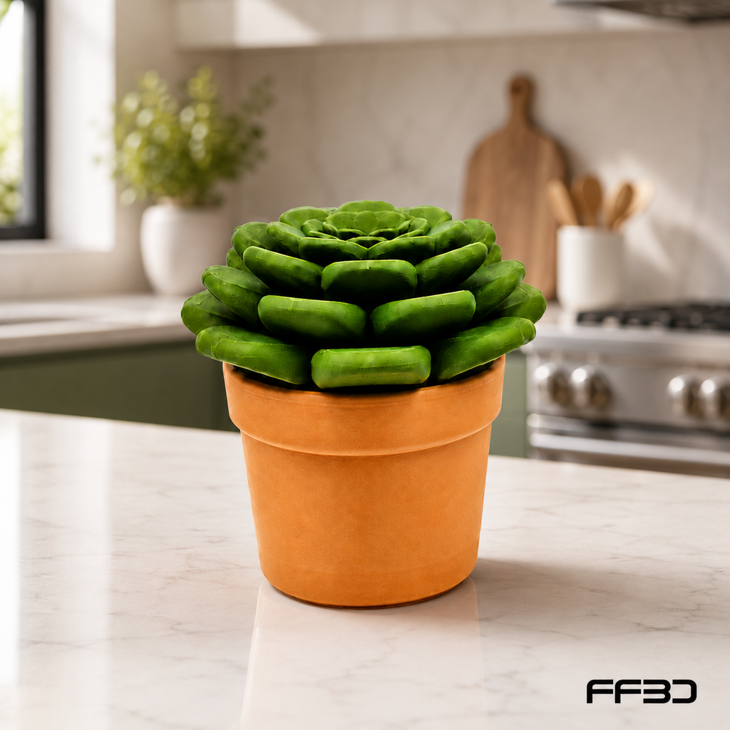 Succulent Fruit Fly Trap – Mix & Match Planter Design
