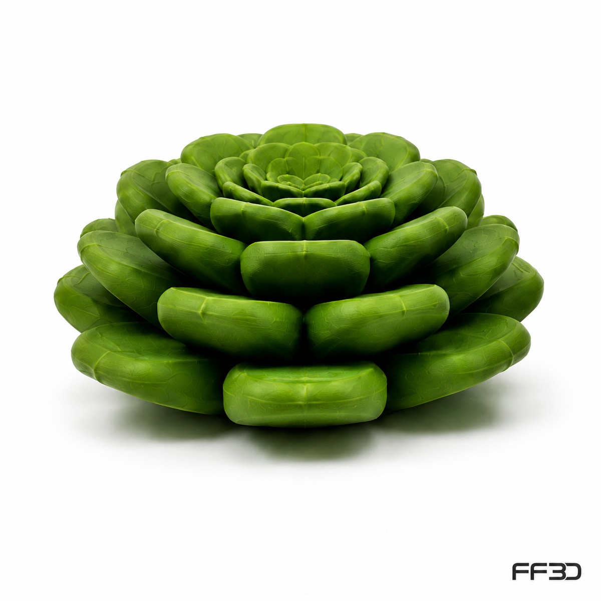 Succulent Fruit Fly Trap – Mix & Match Planter Design