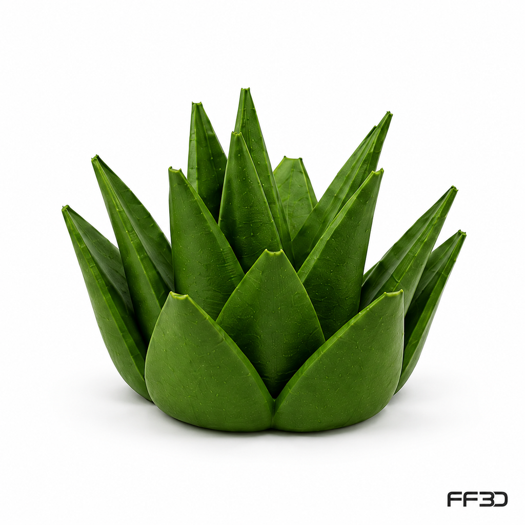 Succulent Fruit Fly Trap – Mix & Match Planter Design