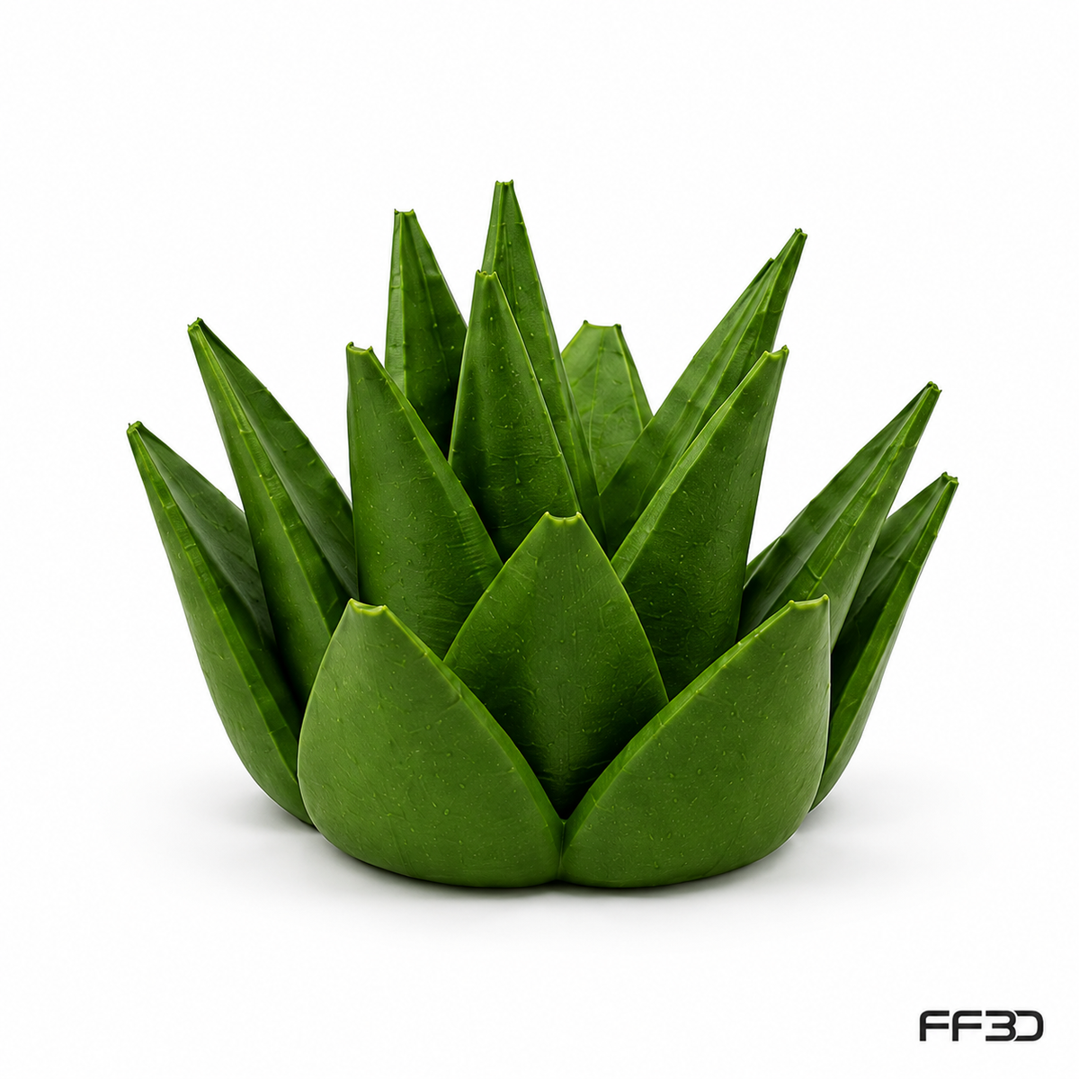 Succulent Fruit Fly Trap – Mix & Match Planter Design