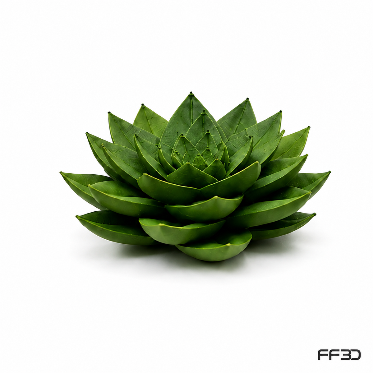 Succulent Fruit Fly Trap – Mix & Match Planter Design